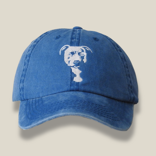 Everyday Rover - Blue